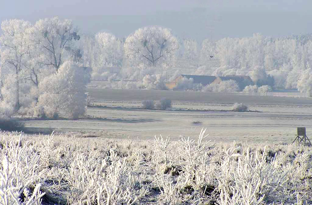 hintergrundbild